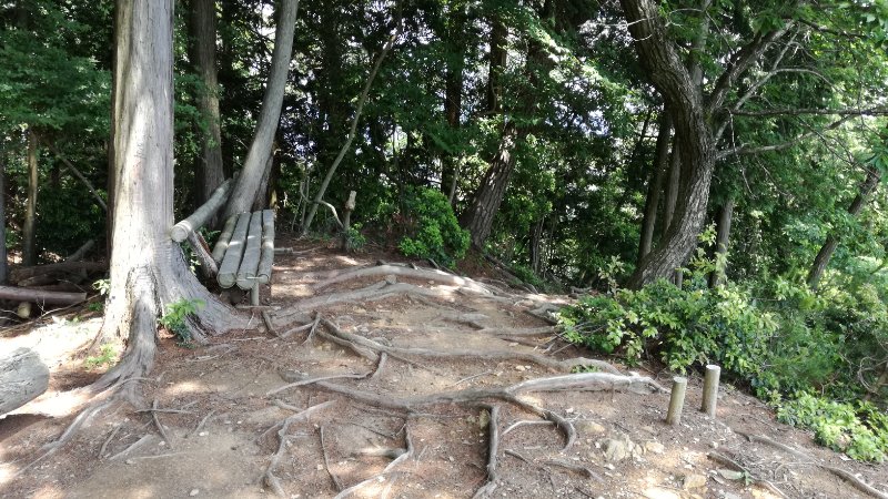 ベンチ ベンチ
