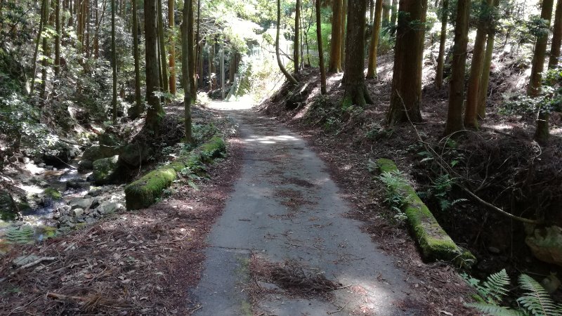林道 林道