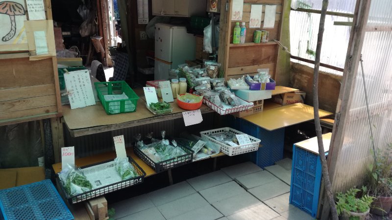 干し椎茸 干し椎茸