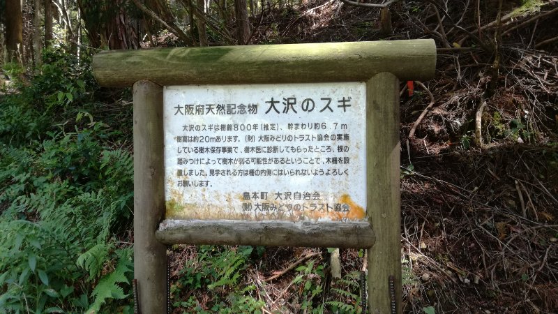 案内板 案内板
