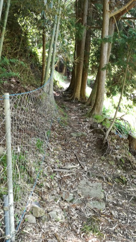登山口 登山口
