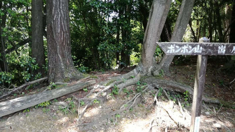 ベンチ ベンチ