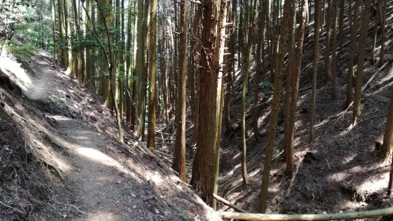 山道 山道