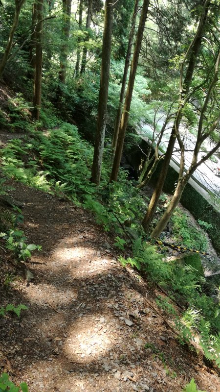 山道 山道