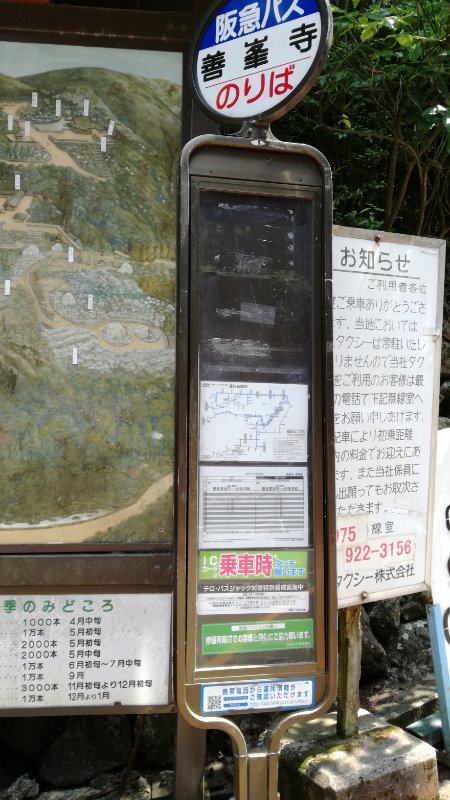 バス停 バス停