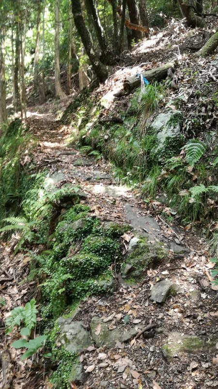 登山口 登山口
