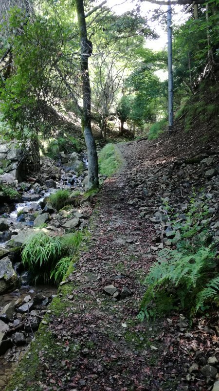 山道 山道