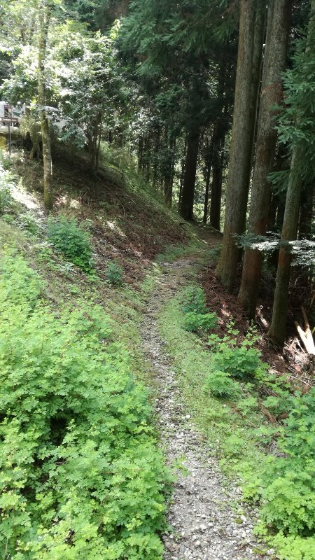 山道 山道