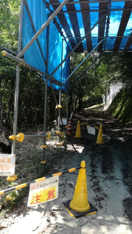 スズメバチの巣に注意 スズメバチの巣に注意