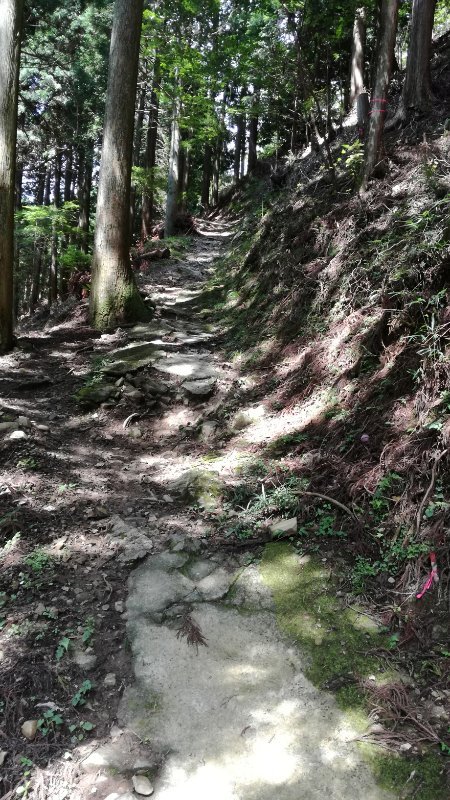 山道 山道