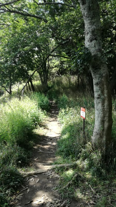 山道 山道