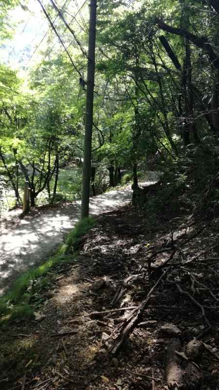 山道 山道