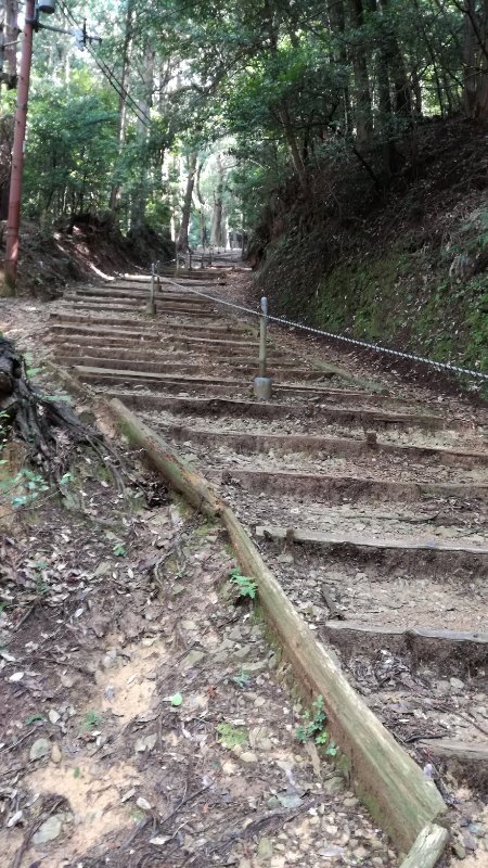階段 階段