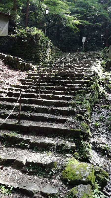 石段 石段