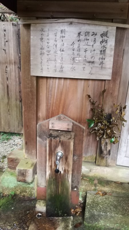 蛇口 蛇口