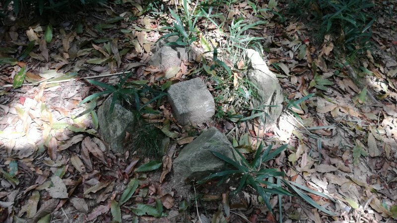 三角点 三角点
