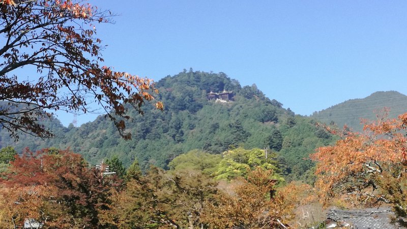 八王子山 八王子山