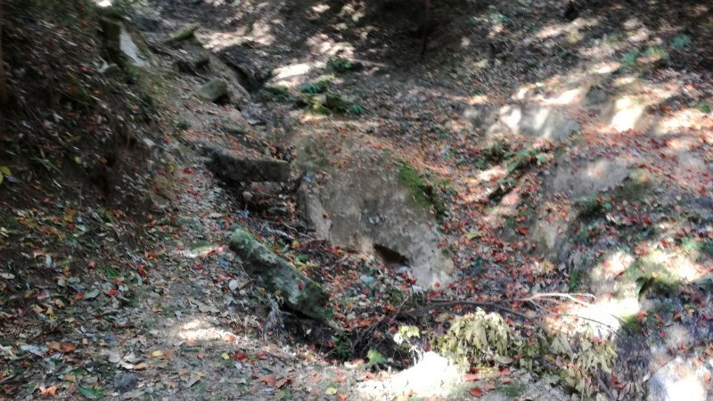 荒れた道 荒れた道