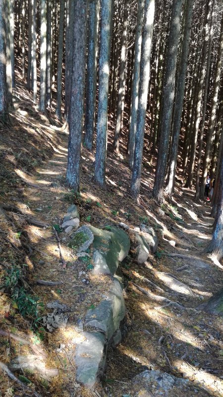 山道 山道