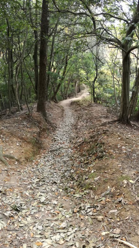 山道 山道