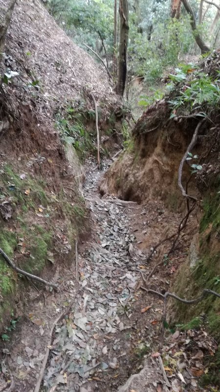 山道 山道