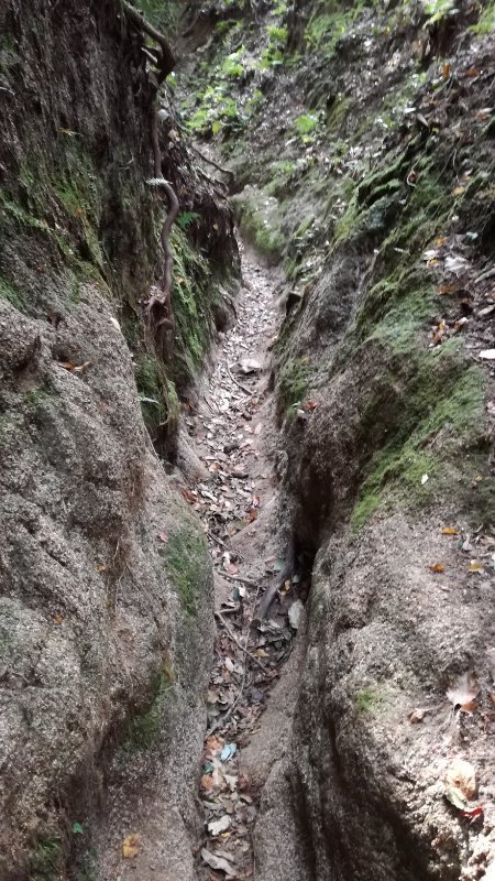 山道 山道