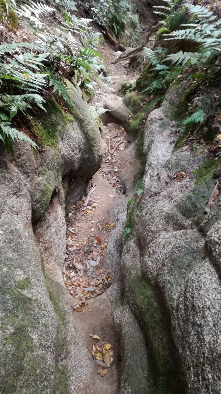 雲母坂 雲母坂