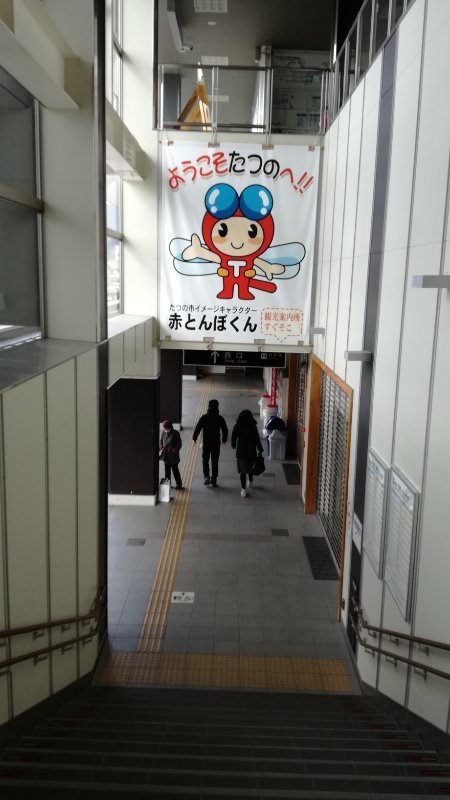 赤とんぼ君