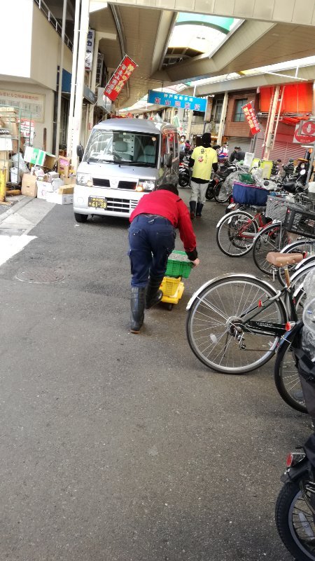 いかなご到着