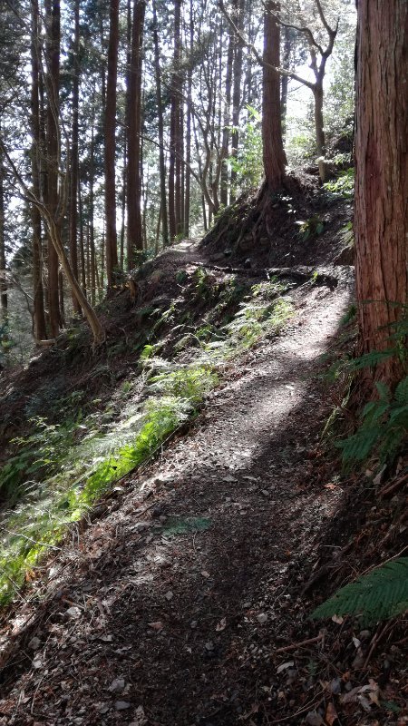 西山古道
