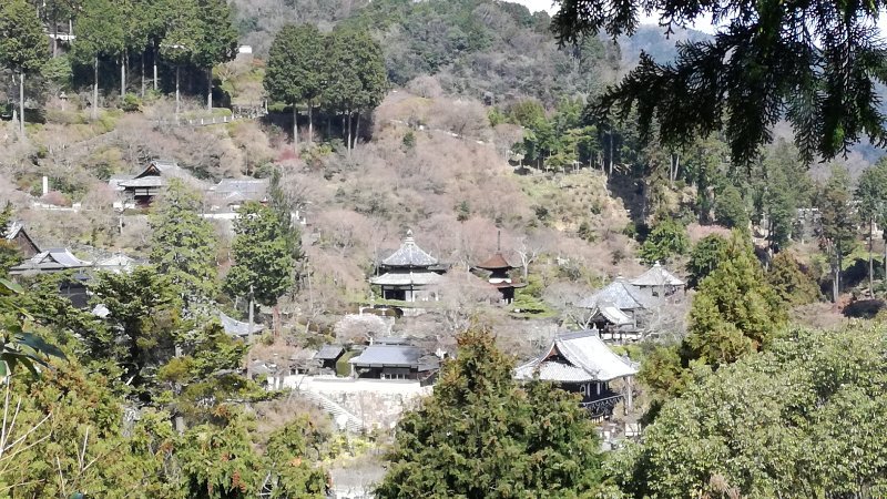 善峯寺遠景