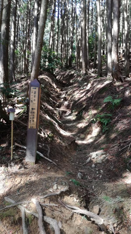 釈迦岳登山道