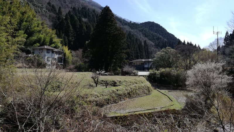 風景