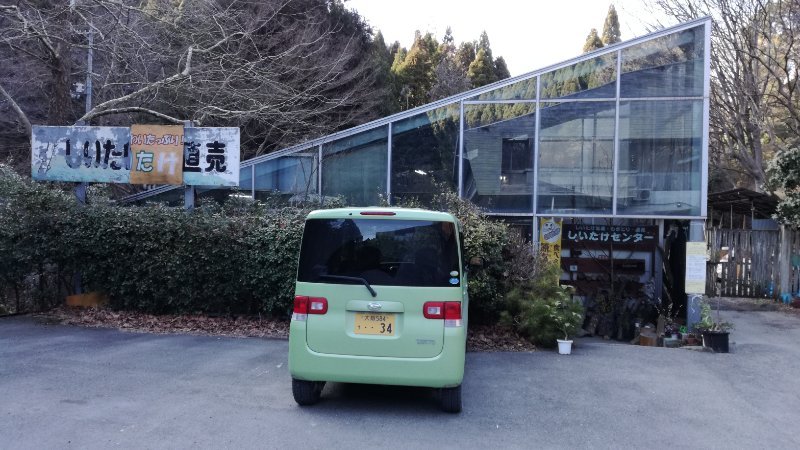 椎茸狩り 椎茸狩り