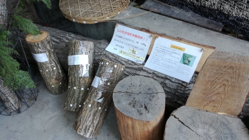 椎茸の原木 椎茸の原木