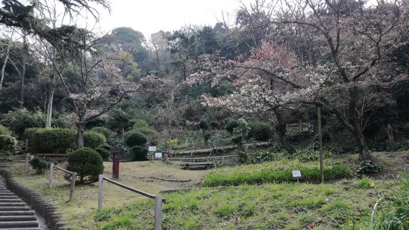額田園地 額田園地
