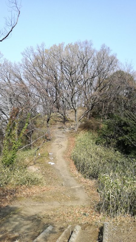 双ケ岡 双ケ岡