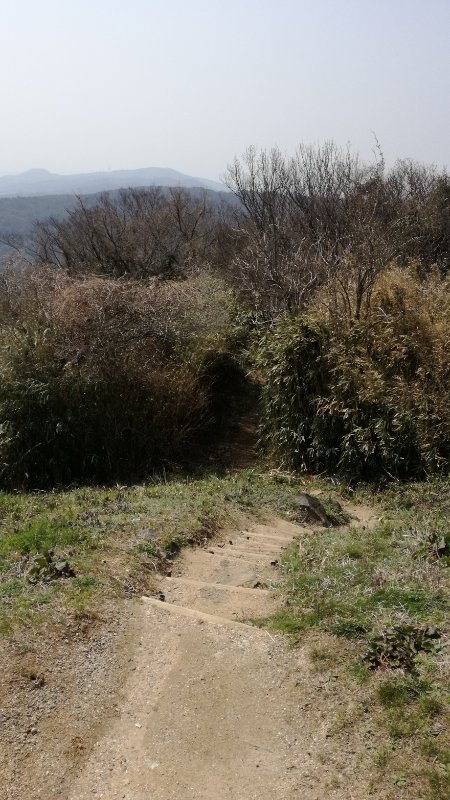 ハイキング道 ハイキング道