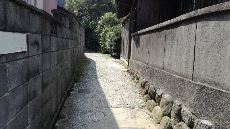 南の伸びる道 南の伸びる道