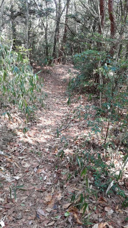山道 山道