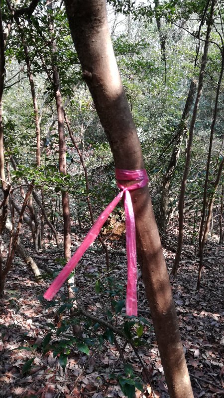 目印のテープ 目印のテープ