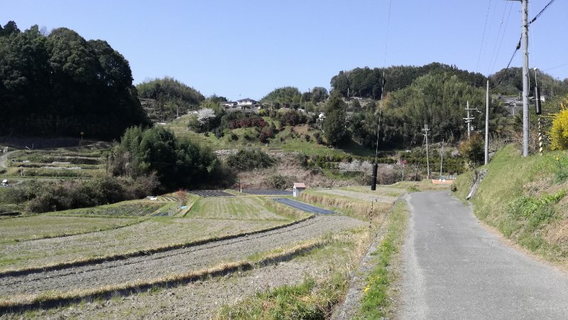 道