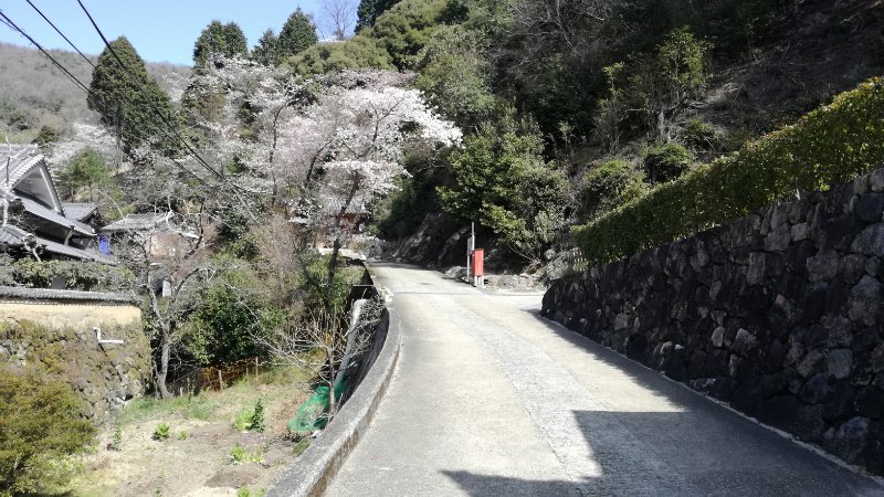 千光寺参道
