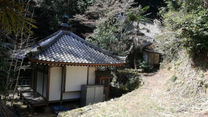 裏道
