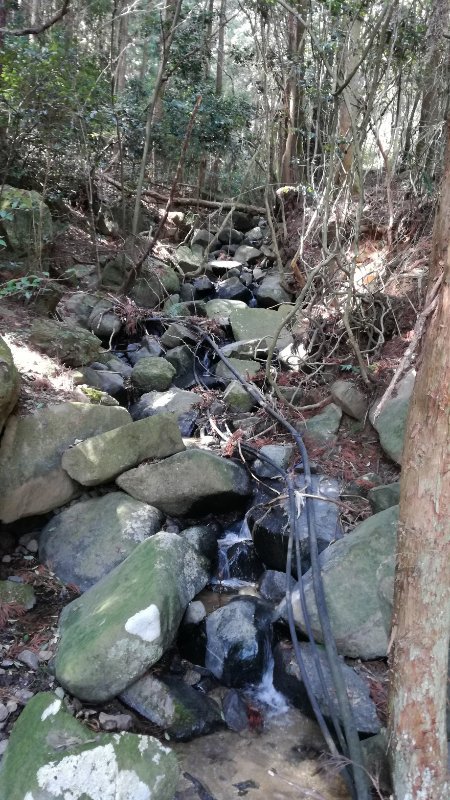 山道
