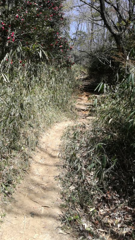 ハイキング道