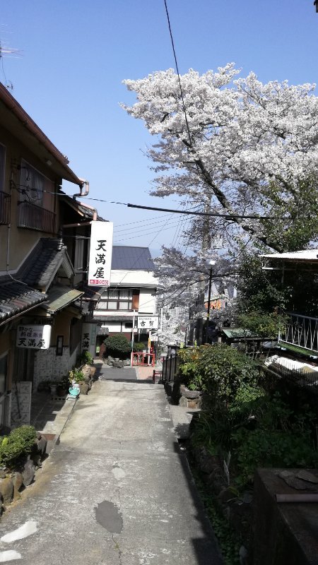 旅館街