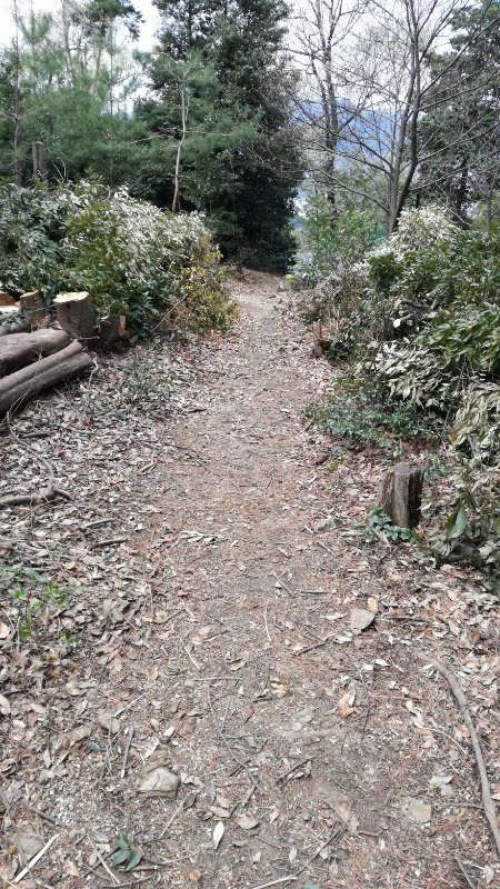 法然院への下山道 法然院への下山道
