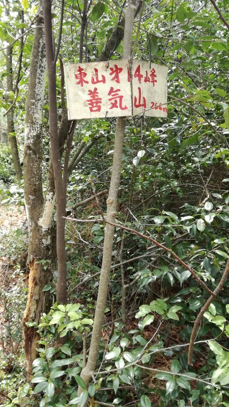 東山第14峰 善気山 東山第14峰 善気山