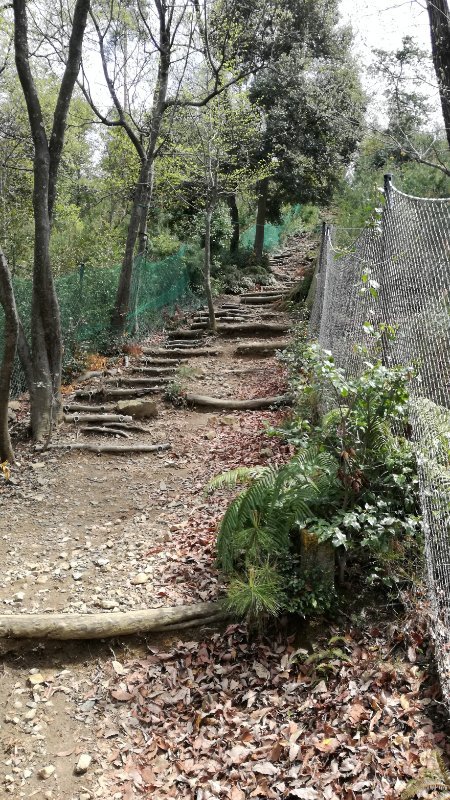 下山道 下山道